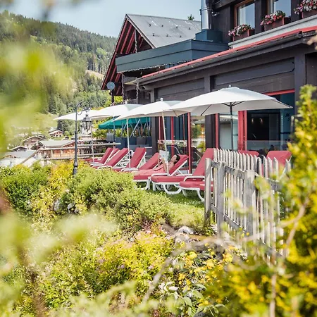 Alpina & - Restaurant Oxalis 3*
